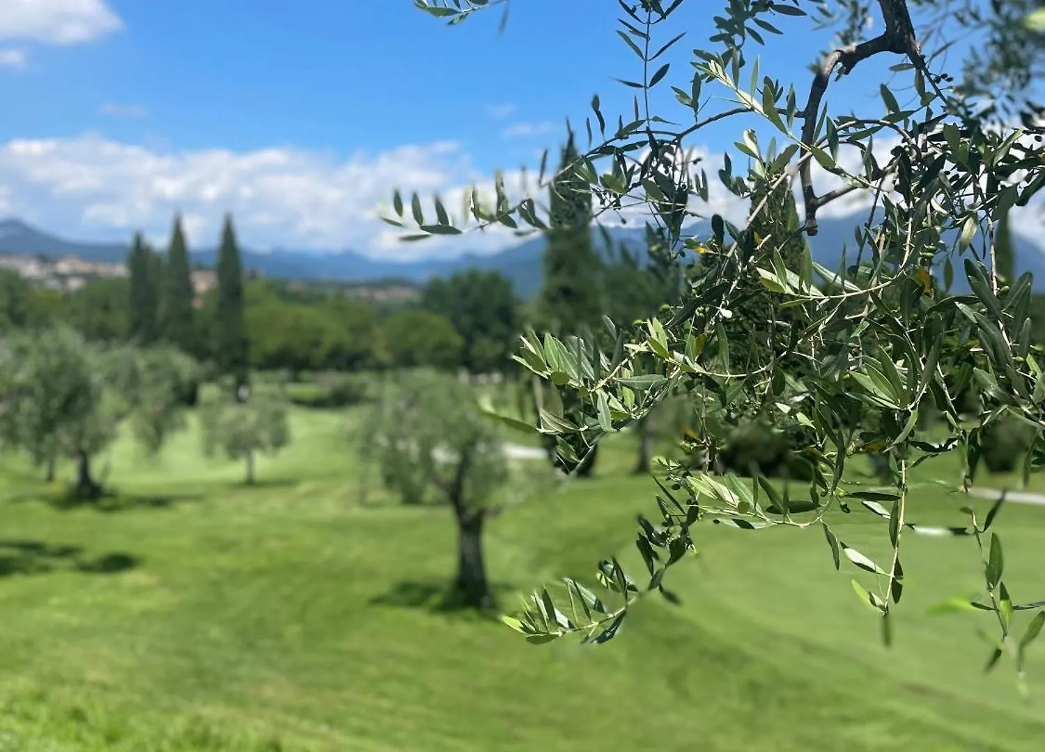 Garda Golf Studio ソイアーノ・デル・ラーゴ